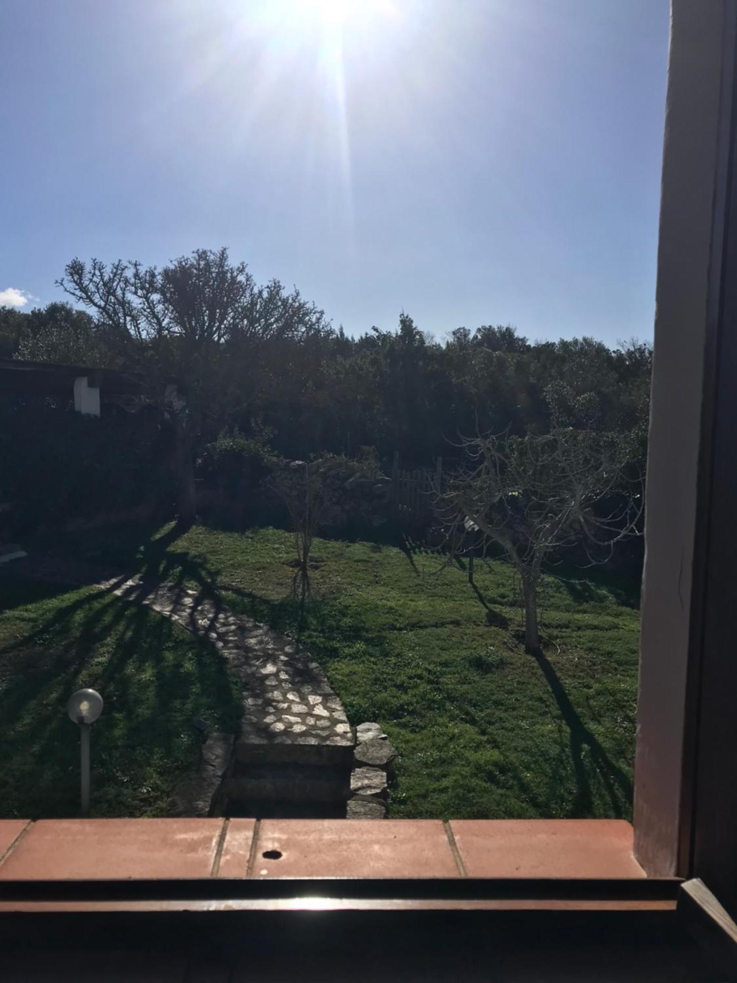 Villa Molara Baja Sardinia Buitenkant foto